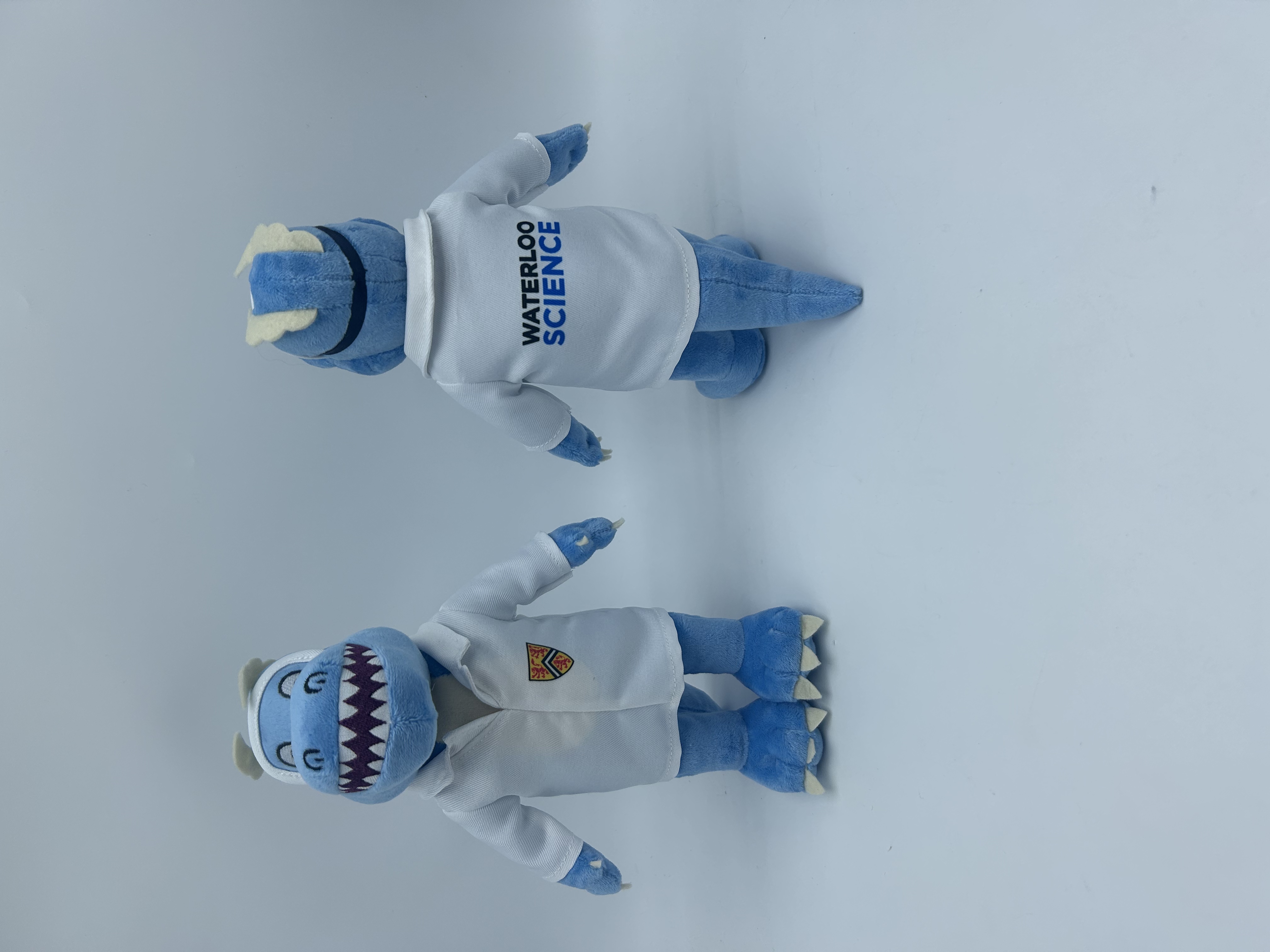 Customized mascots waterloo science